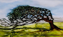Load image into Gallery viewer, Hawthorn trees, Wild Atlantic Way, Burren Trees
