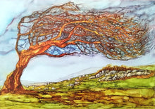 Load image into Gallery viewer, Hawthorn trees, Wild Atlantic Way, Burren Trees