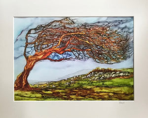Mary Roberts Artist, Burren Trees, West of Ireland, Irish Art, Tree Paintings