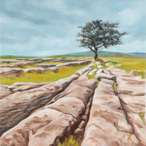 Hawthorn trees, Wild Atlantic Way, Burren Trees, Mary Roberts Artist, West of Ireland 