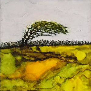 Original Irish Art |  Burren Tree Bows (SOLD)