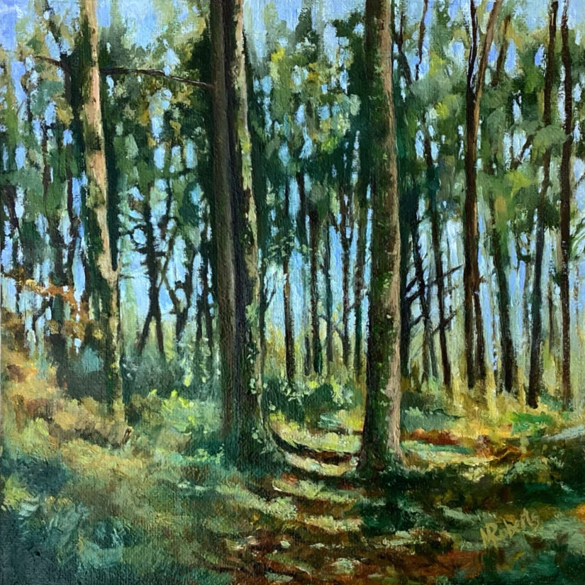 A Stroll in Coole Park