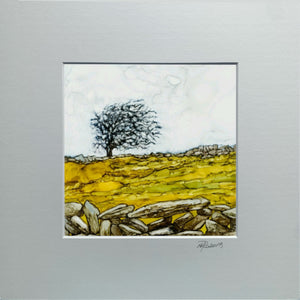 Burren Tree