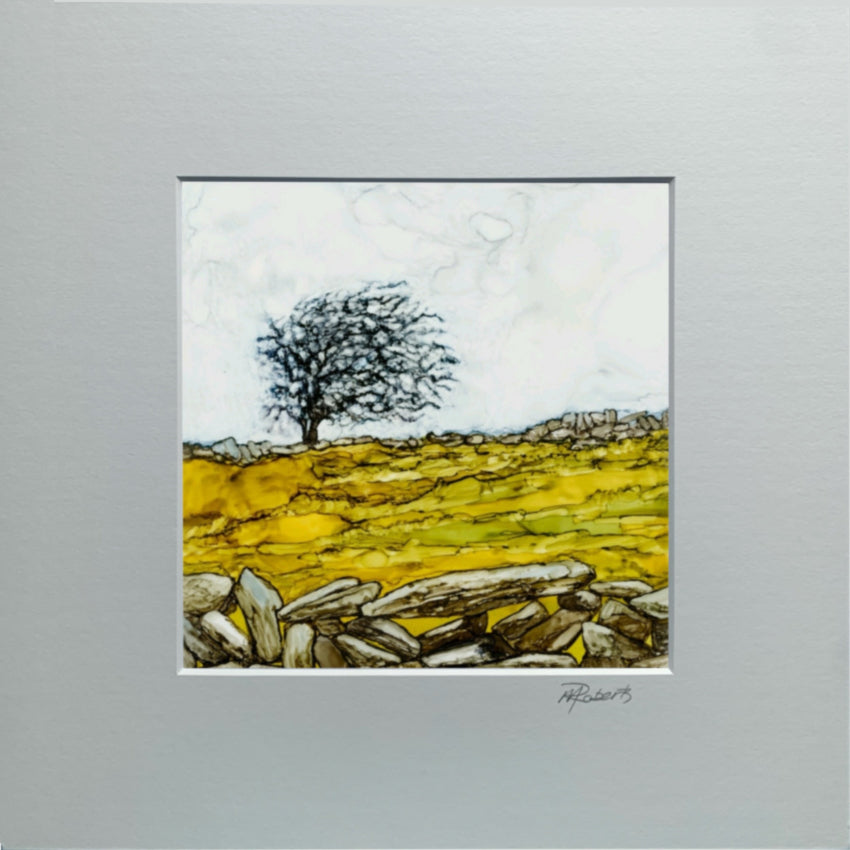 Burren Tree