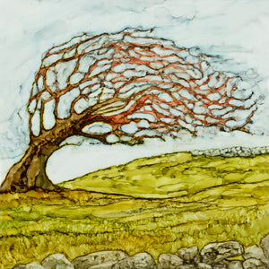 Fairy Tree