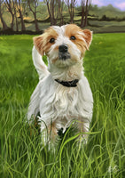 Dog portrait, animal portrait, digital print
