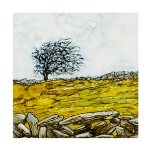 Greeting Card - Burren Tree