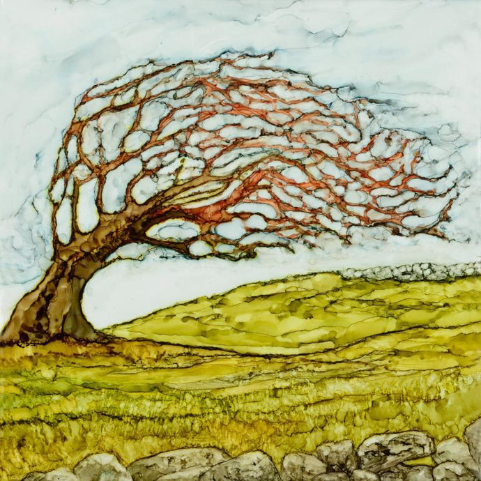 Hawthorn windswept trees, Wild Atlantic Way, Burren Trees, Mary Roberts Artist, West of Ireland, Fairy Trees