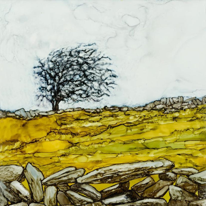 West of Ireland, Wild Atlantic Way, windswept trees, fairy trees, Hawthorn trees, Burren Trees, Mary Roberts Artist