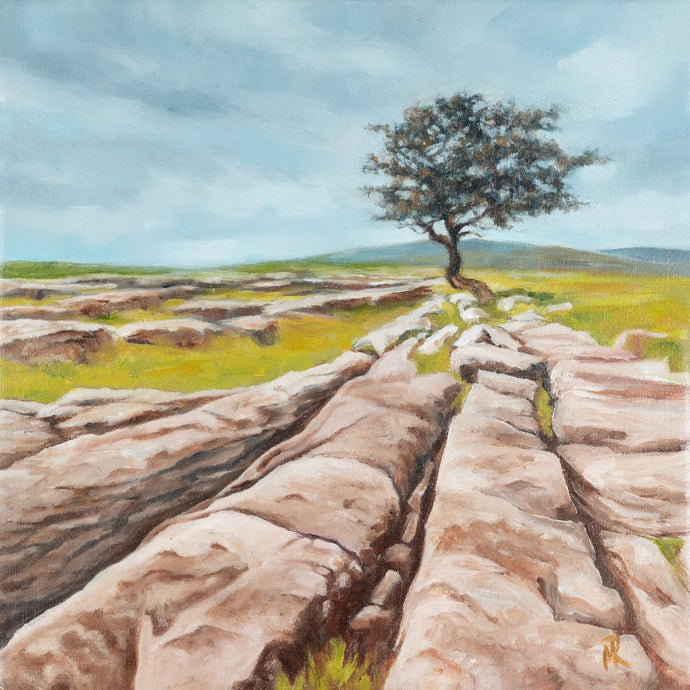 Hawthorn trees, Windswept Trees, Wild Atlantic Way, Burren Trees, Mary Roberts Artist, West of Ireland 