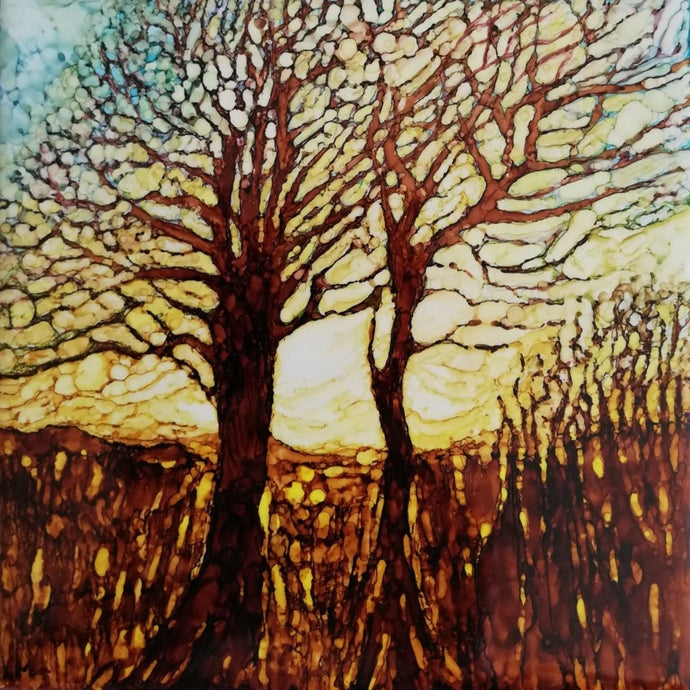 Irish trees, country roads