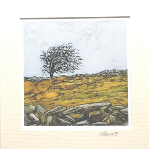 Burren Tree
