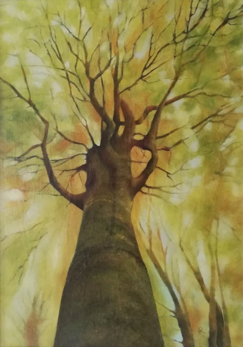 Majestic (Give Us A Hug) 62cm x 82cm Framed (SOLD)