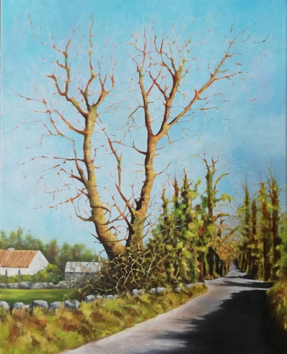 The Light at The End  | 46cm x 56cm Framed (Available at Kilbaha Gallery)