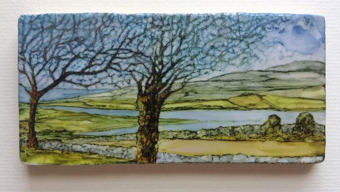Original Irish Artwork | Through the Branches SOLD