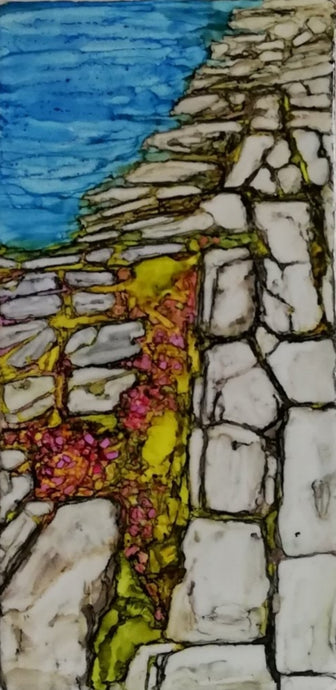 Burren Flowers