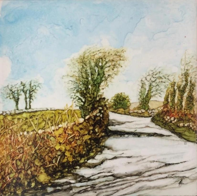 burren trees