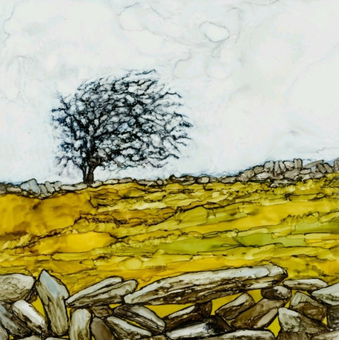 Greeting Card - Burren Tree